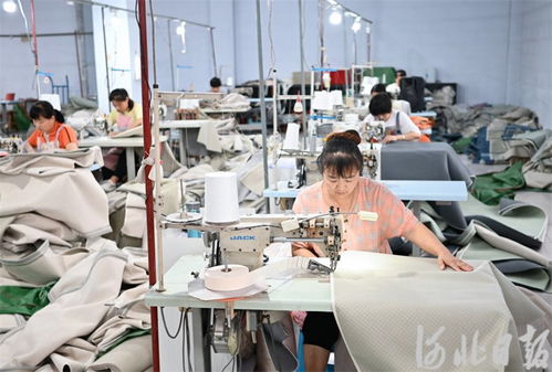 河北深澤 合作共贏促發(fā)展，家居用品產(chǎn)業(yè)綻放新活力